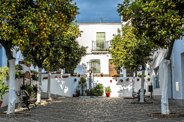 region-hinojos (1)